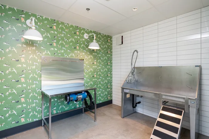 Pet washing station