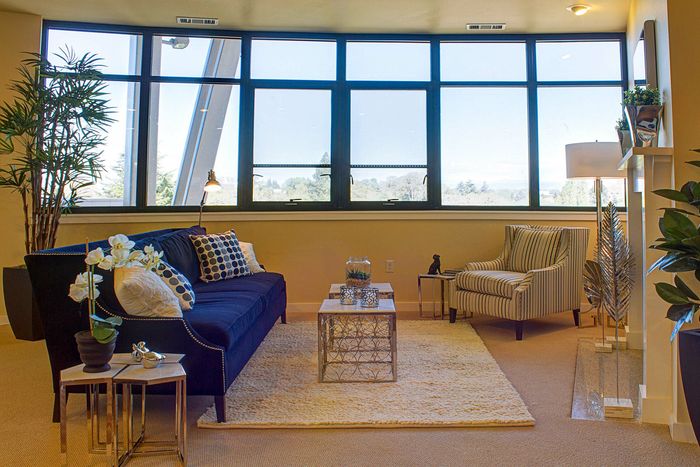 living room with large windows a blue sofa and a beige armchair and decorative plants around