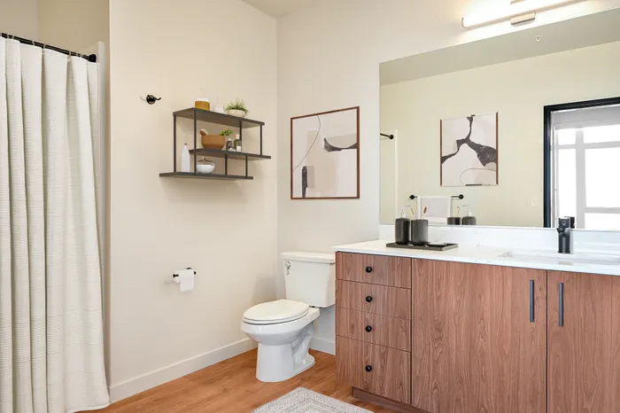 upgraded bathroom with top-of-the-line finishes including quartz countertops and luxury vinyl plank flooring