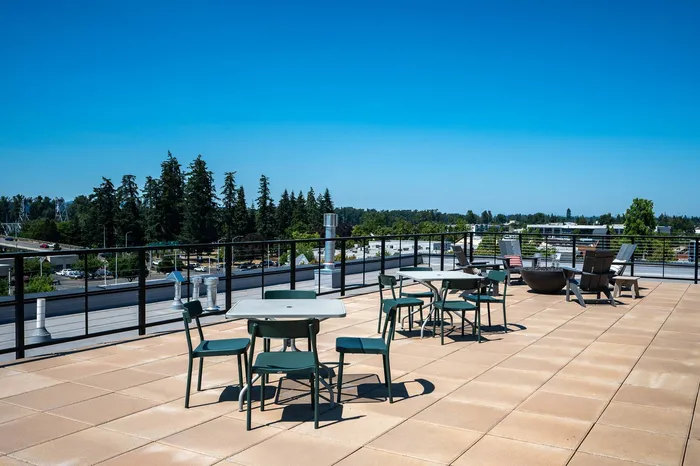 Rooftop deck with panoramic views, BBQ Grills, fire pits and seating areas