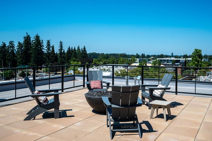 Rooftop deck with panoramic views, BBQ Grills, fire pits and seating areas