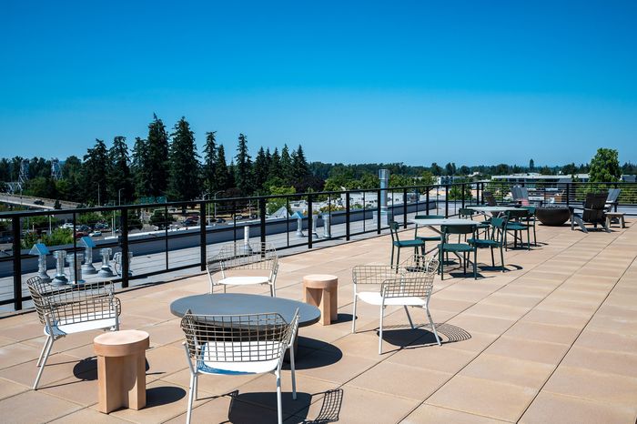 Rooftop deck with panoramic views, BBQ Grills, fire pits and seating areas
