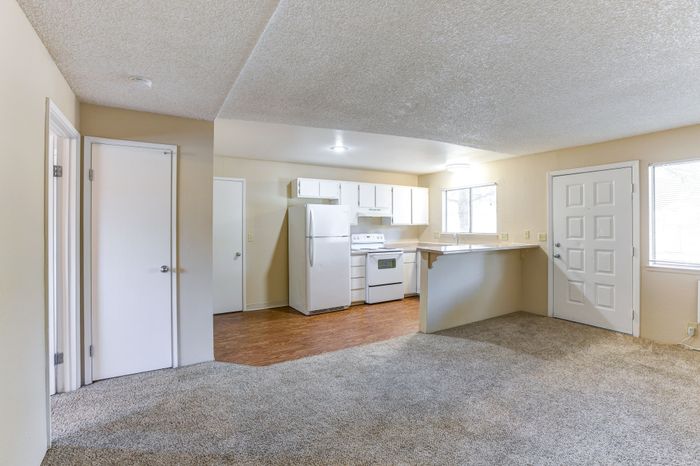 Kitchen and living room
