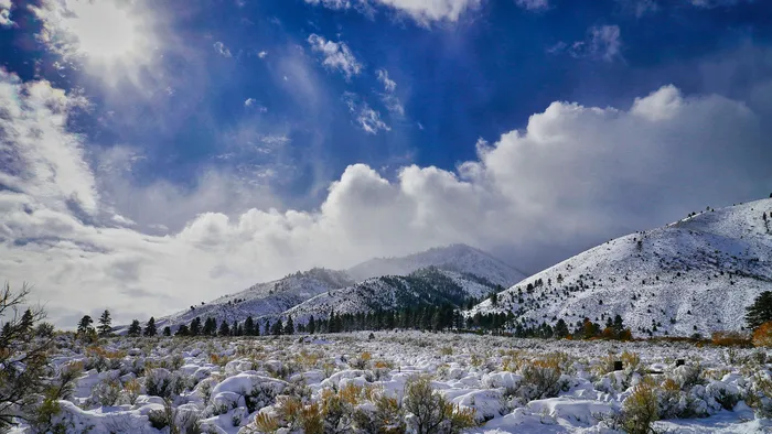mountains near carson city