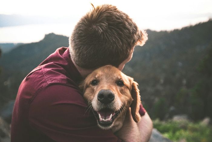 man embracing golden retriever