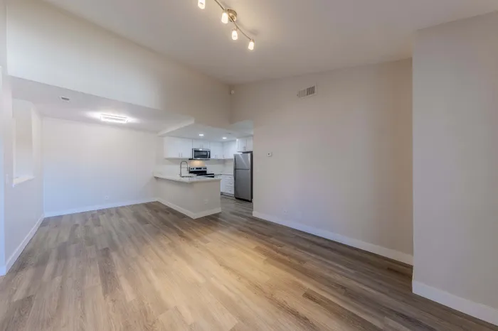 Open concept living room and kitchen
