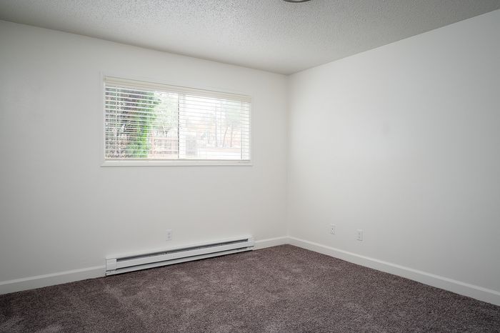 bedroom with carpet floors