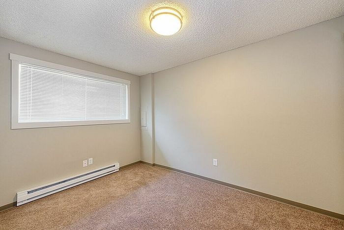bedroom with plush carpet