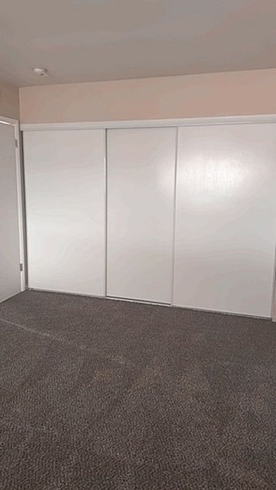 Carpeted bedroom with large closets