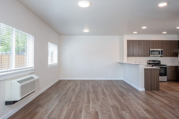 Living room and kitchen