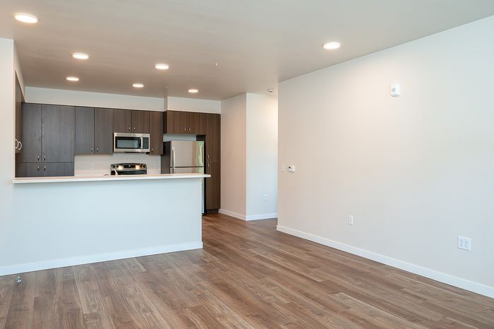 Living room and kitchen