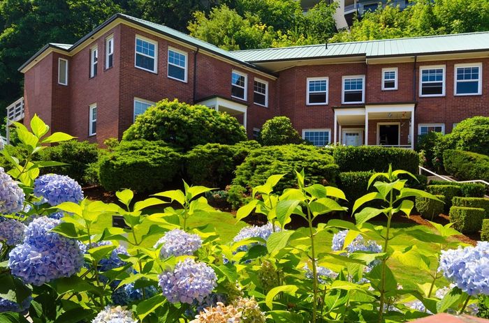 lush gardens and flowers with 2 story apartment building behind