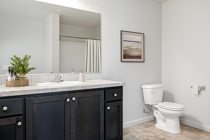 Virtually staged bathroom at Alderbook in Vancouver, WA