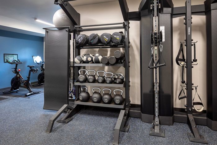 fitness