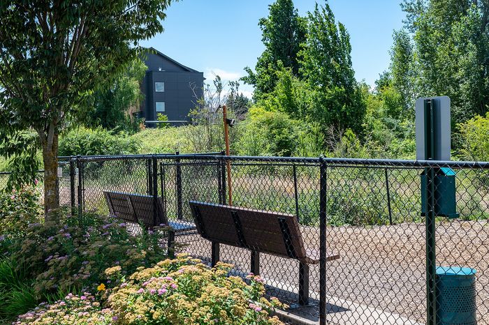 Dog park with potty station