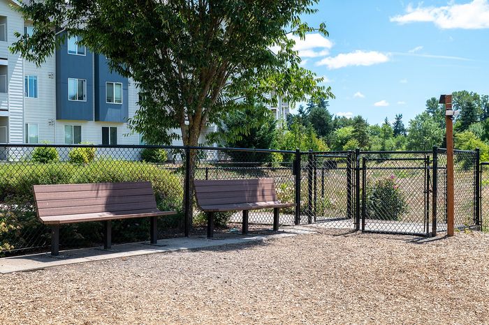 Dog park at Alderbrook