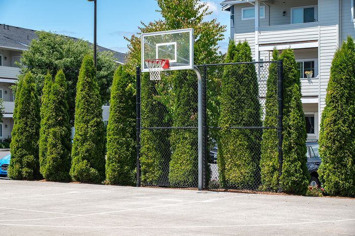 Sports court (basketball) at Alderbrook in Vancouver, WA