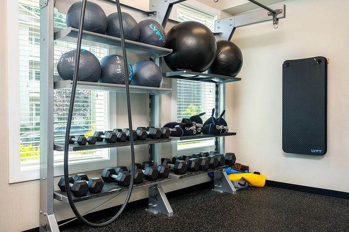 Fitness Center with multiple machines and weights
