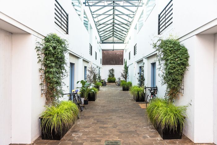 paved walkway with decorative plants near the doors