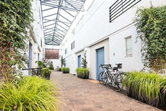 paved walkway with decorative plants near the doors