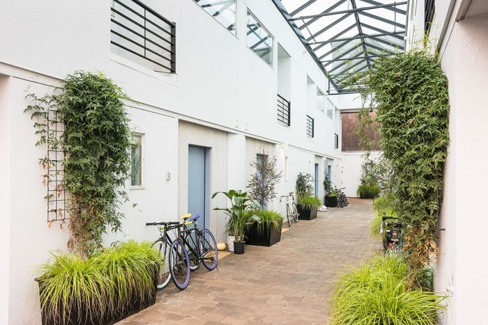 paved walkway with decorative plants near the doors