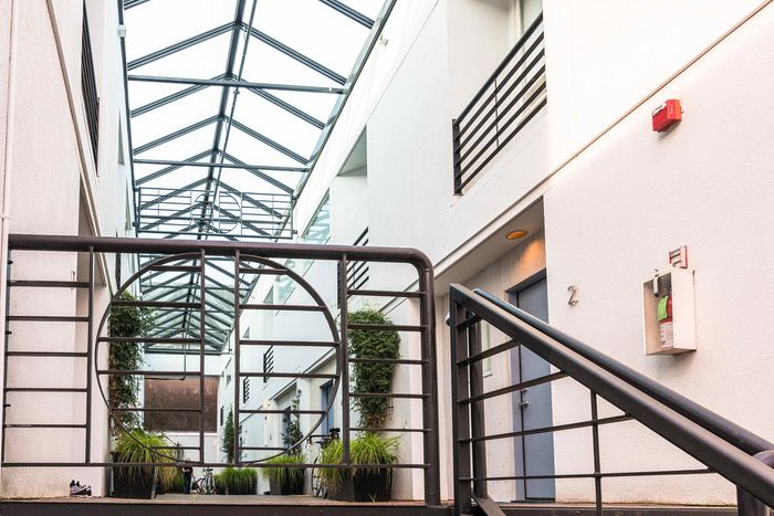 paved walkway with decorative plants near the doors