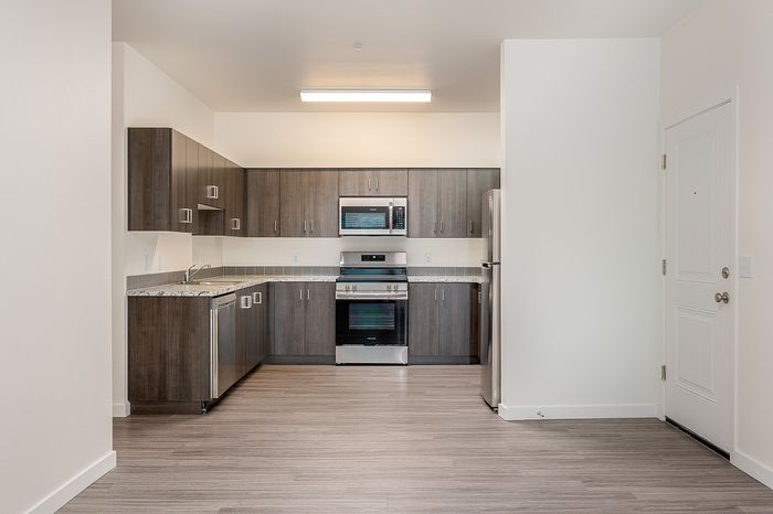 kitchen with lvp flooring, dark cabinets, and stainless steel appliances