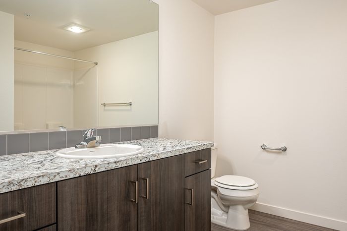 bathroom with dark cabinets and light countertops