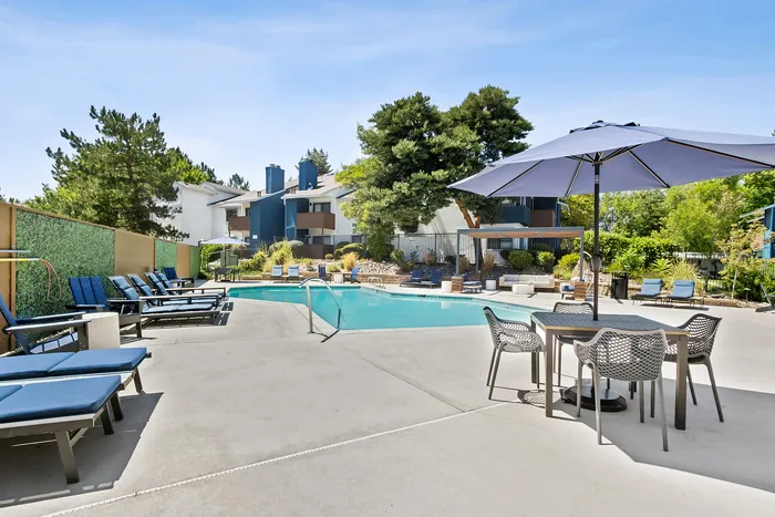 sparking pool with lounge area