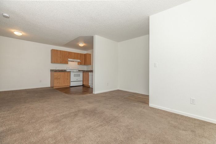 carpeted living room and kitchen in the background