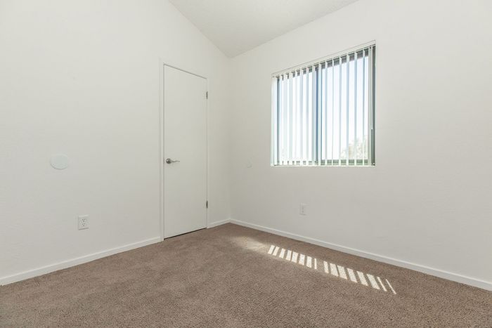 bedroom with carpet and window