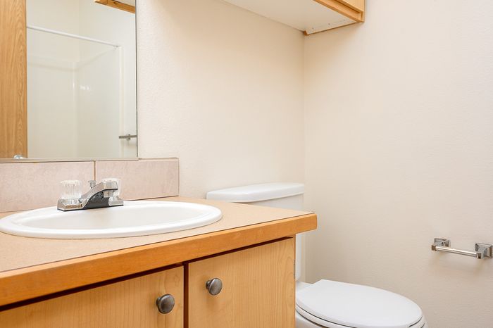 Bathroom counter and toilet