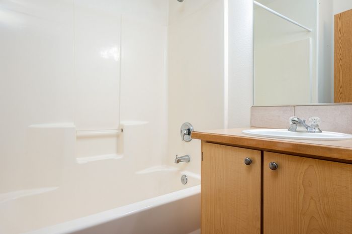 Bathtub, shower, and countertop with sink and mirror.
