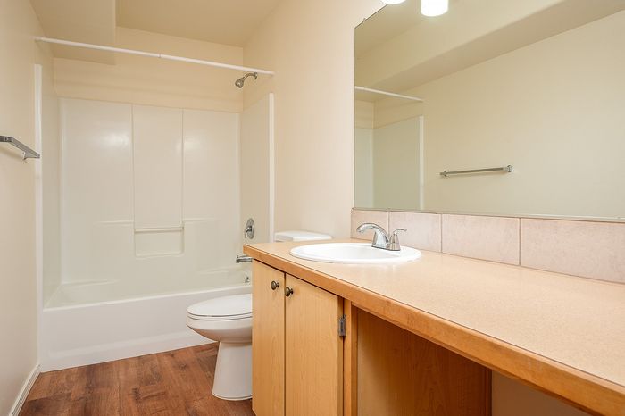 Bathtub, shower, and long shot of countertop with sink and mirror.