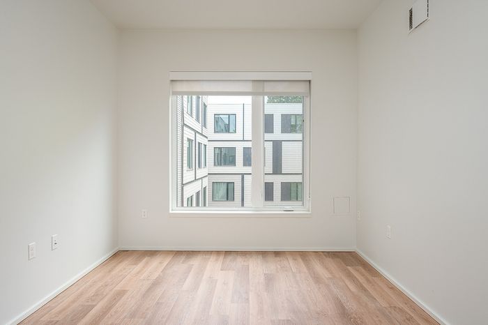 One-Bedroom at Lyra Apartments - living room with window and hardwood floors