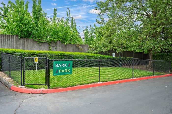 Dog park with greenery and fence.