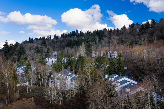 Elevated hillside view of residential buildings nestled in trees at Berkeley Heights Apartment Homes.