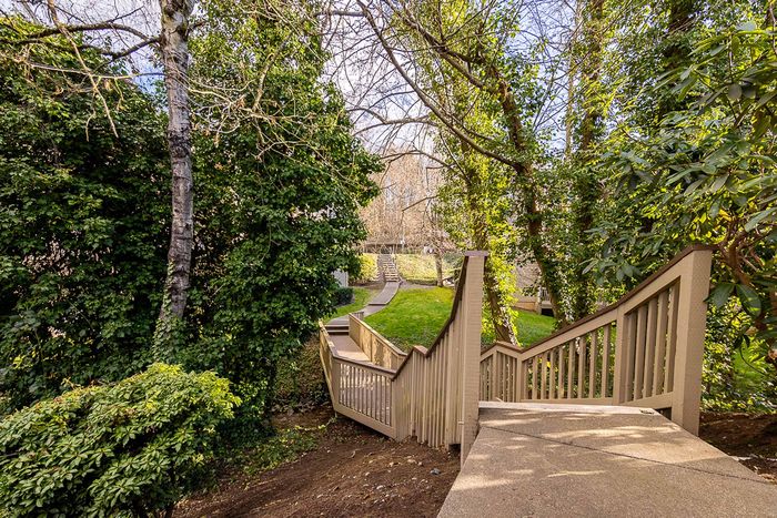 Wooden outdoor staircase and walkway winding through lush green trees at Creekwood Apartments.