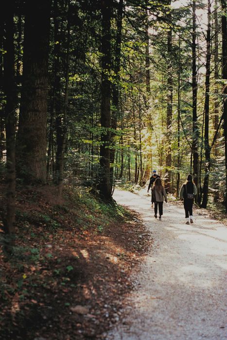 people-hiking-in-the-woods