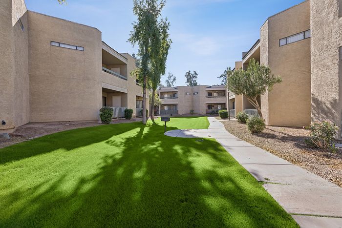 Grassy area outside in the community sidewalk