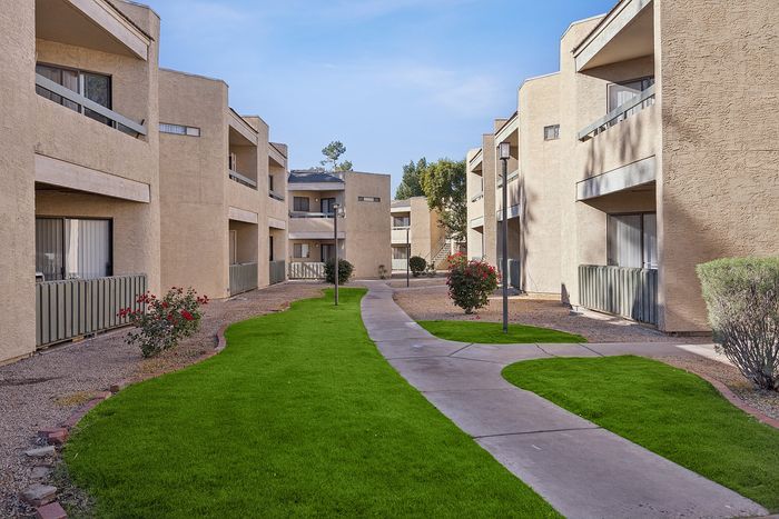 Grassy area outside in the community sidewalk