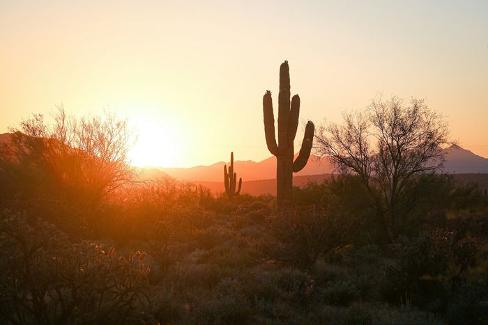 arizona desert at dusk