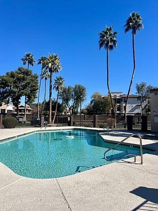 Fenced swimming pool at Ocotillo Village with a concrete deck and tall palm trees against a clear blue sky.
