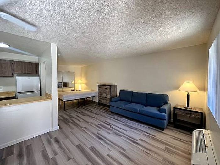 Living space at Ocotillo Village with a blue couch, wood-style floors, and a view of the kitchen and sleeping area.