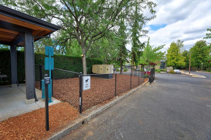 dog run at Solthea Apartments