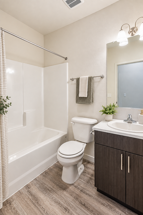 Rogers Landing virtually staged bathroom