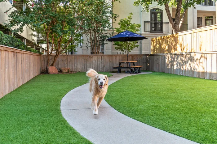 Charming dog-friendly backyard with a winding path, lush greenery, and inviting picnic area, perfect for outdoor relaxation.