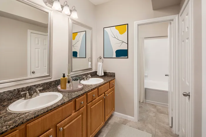 Elegant bathroom with dual sinks, granite countertops, and modern decor exuding luxury and style.
