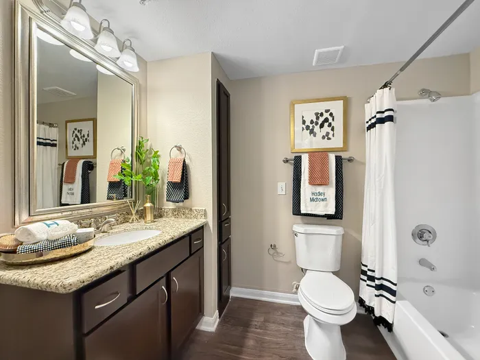 Modern bathroom with granite countertops, elegant mirror, and stylish decor, offering a serene retreat for relaxation.