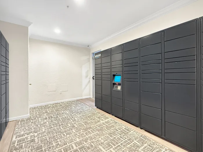 Modern package delivery room with sleek black Amazon lockers and stylish carpet, offering secure and convenient parcel solutions.